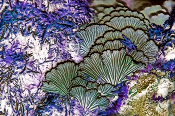 N 095C